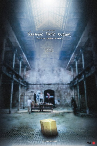 With the Badger on Trial movie poster