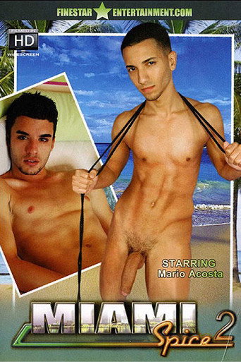 Miami Spice 2 movie poster