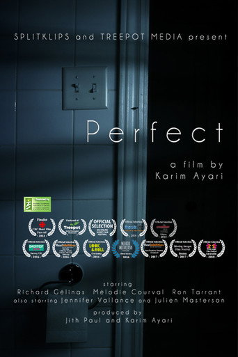 Perfect movie poster
