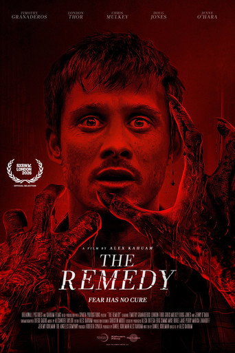 The Remedy movie poster