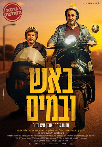 Bros movie poster