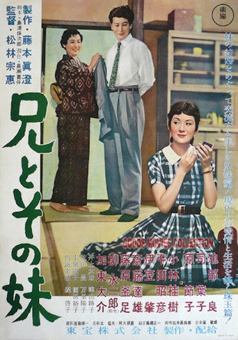 A Brother and His Sister movie poster