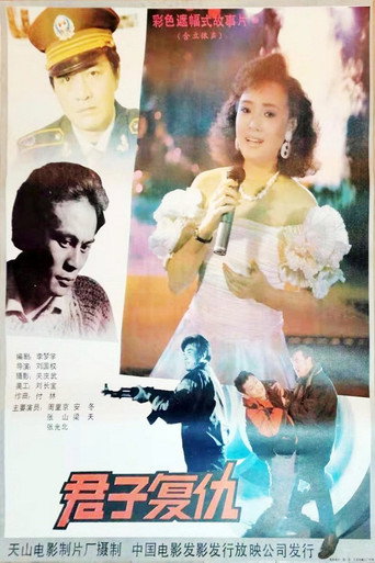 君子复仇 movie poster