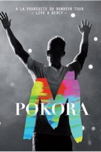 M Pokora - Concert à Bercy movie poster