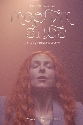 Nephin Subs movie poster