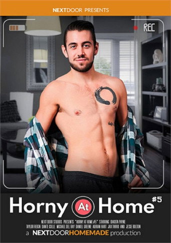 Horny at Home 5 movie poster