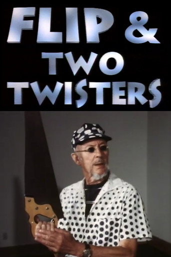 Flip & Two Twisters movie poster