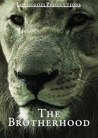 The Brotherhood movie poster