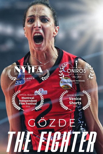 Gözde the Fighter movie poster