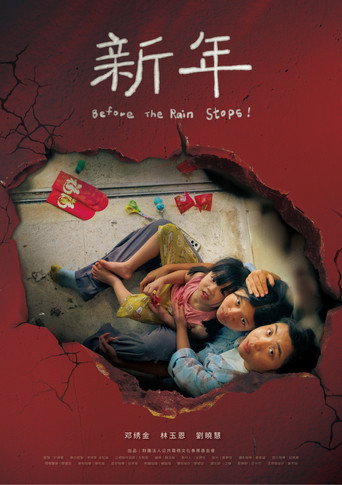 Before The Rain Stops movie poster