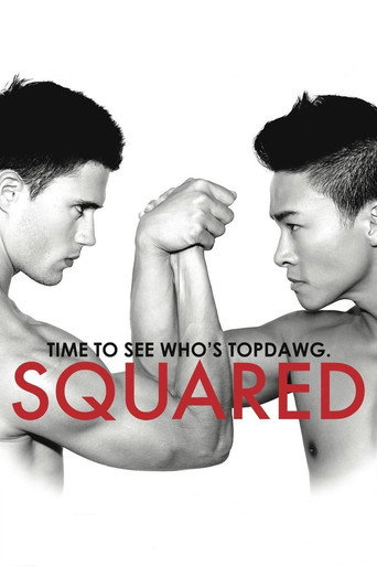 Squared movie poster