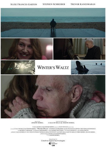 Winter's Waltz movie poster