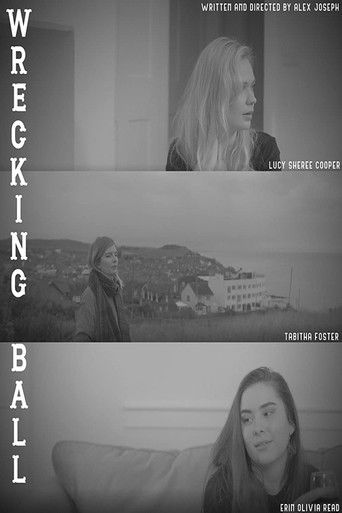 Wrecking Ball movie poster