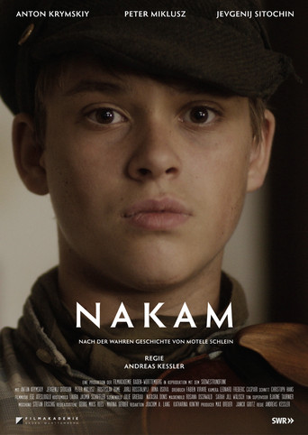 Nakam movie poster