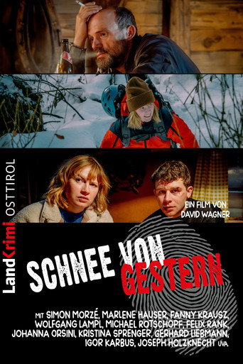 Schnee von gestern movie poster