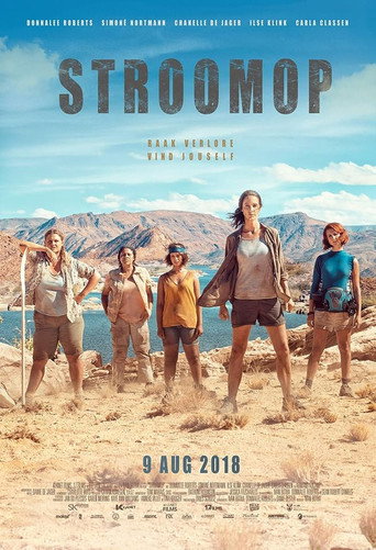 Stroomop movie poster
