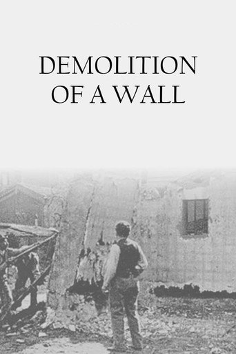 Demolition of a Wall movie poster