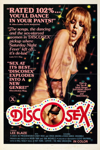 Disco Sex movie poster