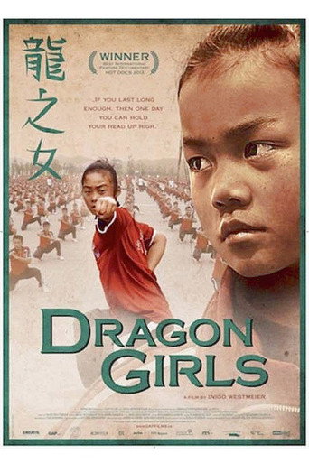 Dragon Girls movie poster