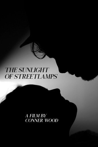 The Sunlight of Streetlamps movie poster