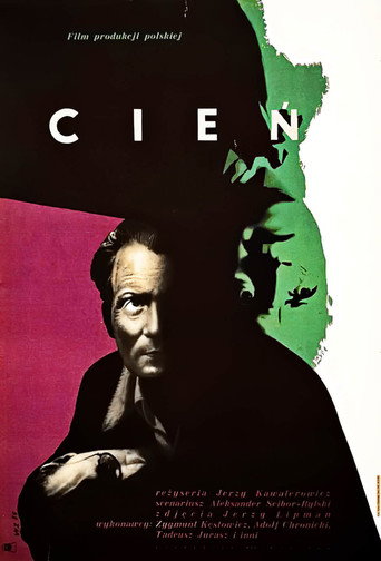 Shadow movie poster