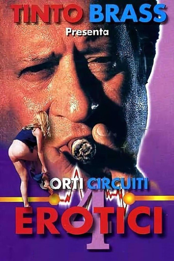 Erotic Short Circuits Vol. 4 movie poster