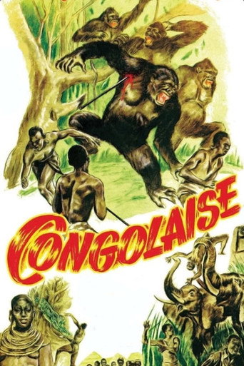 Congolaise movie poster