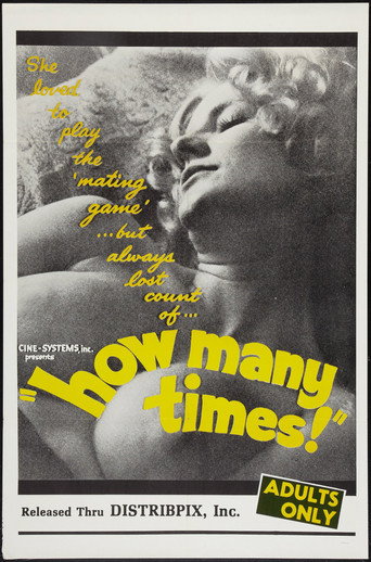 How Many Times movie poster
