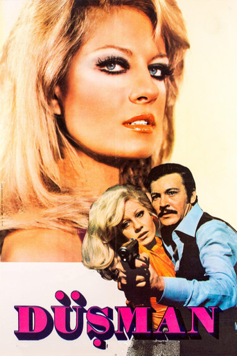 Düşman movie poster