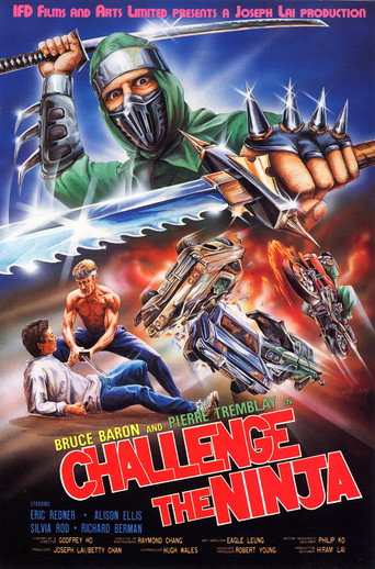 Challenge of the Ninja movie poster