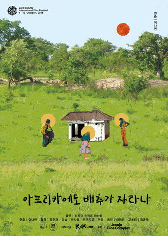 Do Cabbages Grow in Africa? movie poster