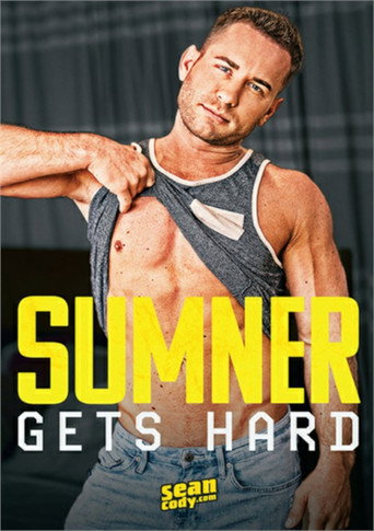 Sumner Gets Hard movie poster