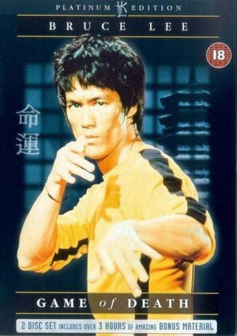 Legacy of the Dragon movie poster
