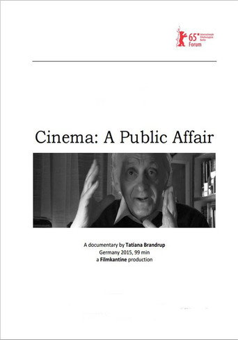 Cinema: A Public Affair movie poster