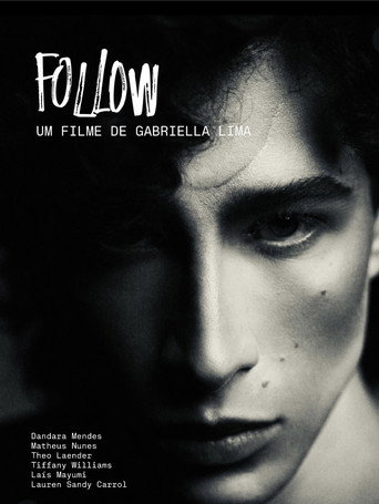 Follow movie poster