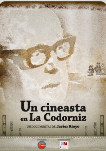 A Filmmaker in La Codorniz movie poster