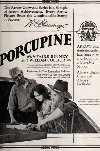The Girl from Porcupine movie poster