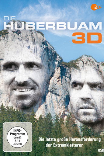 Pushing the Limit movie poster