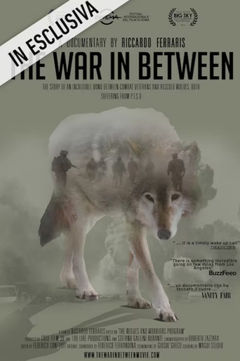 The War In Between movie poster
