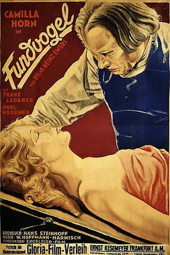 Fundvogel movie poster