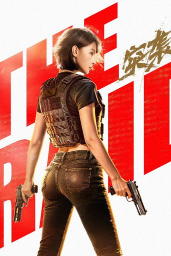The Raid movie poster