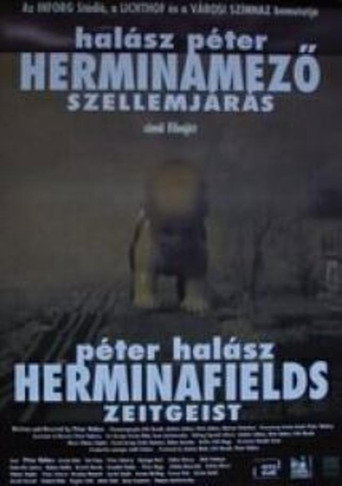 Herminafields - Zeitgeist movie poster