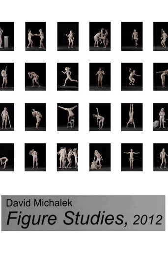 Figure Studies movie poster