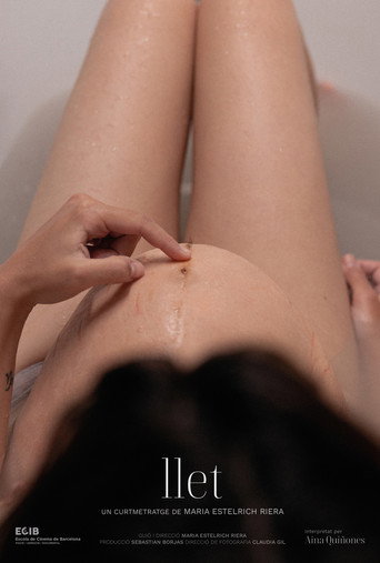 Milk movie poster