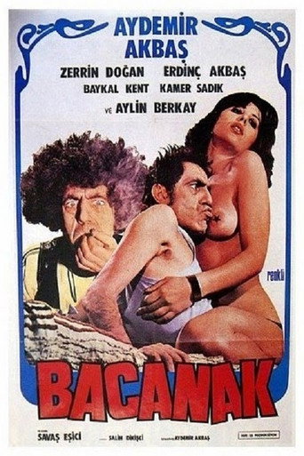Bacanak movie poster