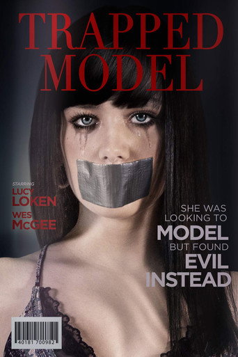 A Model Kidnapping movie poster