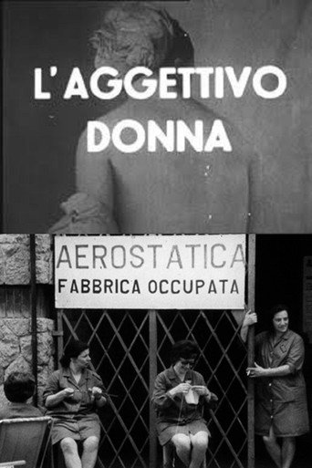 The Adjective Woman movie poster
