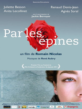 Par les épines - Histoire de quatre printemps movie poster