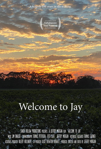 Welcome to Jay movie poster
