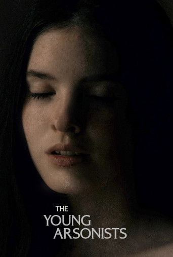 The Young Arsonists movie poster